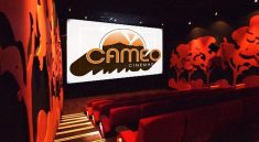 Surprise Movie Cameo Rocks 2025 Cinema