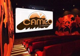 Surprise Movie Cameo Rocks 2025 Cinema