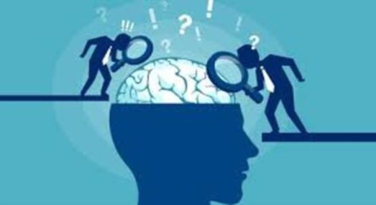 The Psychology Behind Viral Fan Theories